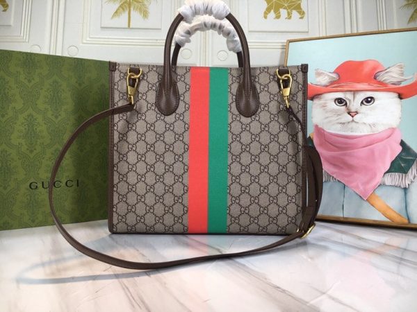 VL – New Luxury Bags GCI 569