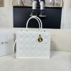 VL – Luxury Bag DIR 401